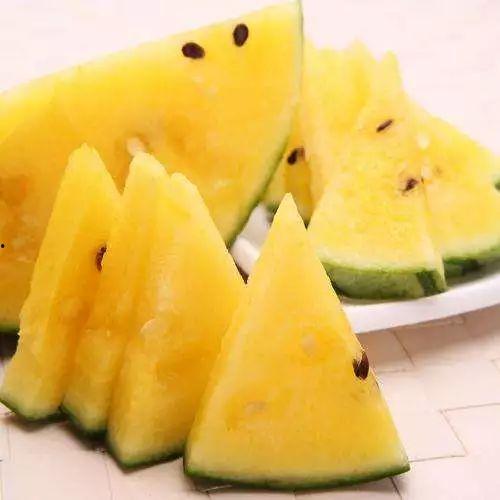 黑瓜吃料官网免费